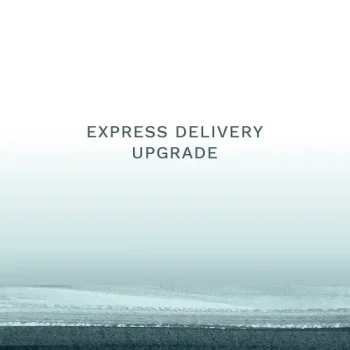 Express Delivery upgrade