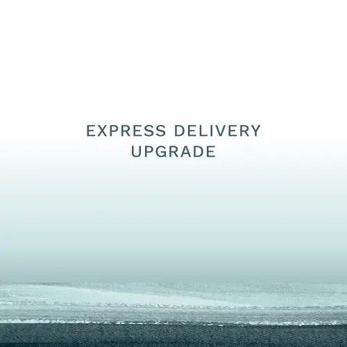 Express Delivery upgrade