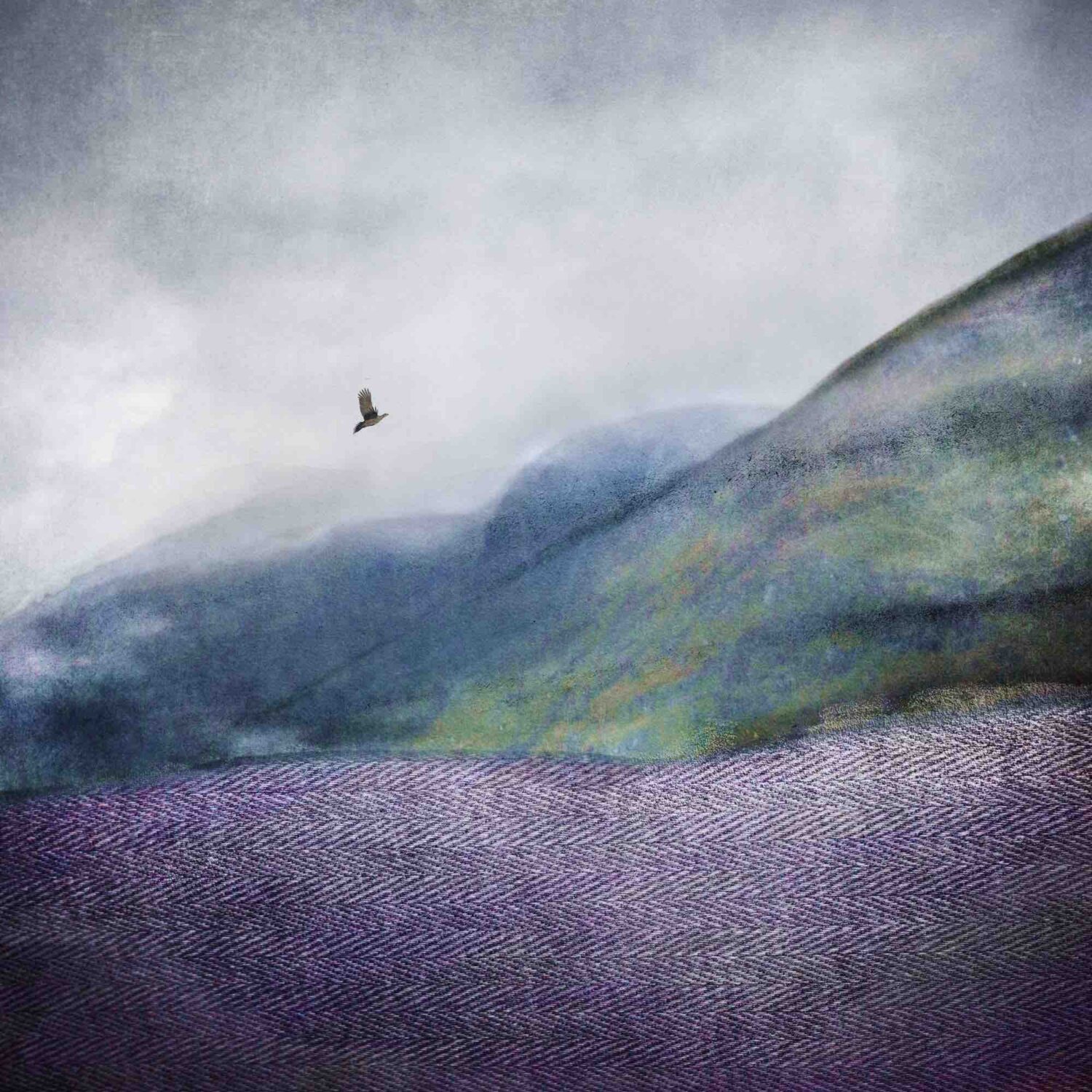 a Hills of Tweed art print close up. The print is an abstract picture of a Scottish hillside with a bird flying above in the distance. There is a tweed texture in the foreground.