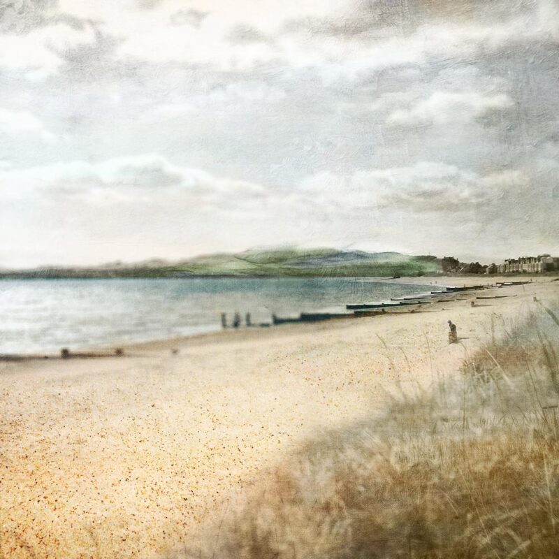 Broughty Ferry Beach, Dundee closeup - pale green colours with the sea, beach and sand dunes and in the distance a row of houses