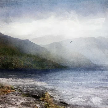 a blue print of a loch view with mountains in the distance. In the foreground theres textured rocks with yellow golden grass and in the middle of the background is a seagull flying