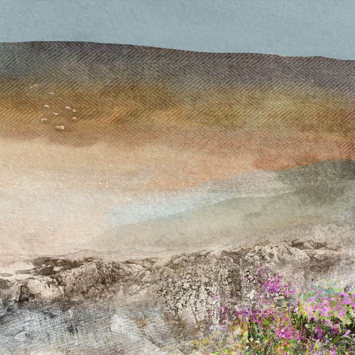 3rd print of 3 of Nisabost beach on Harris. This print is a view of the beach and shore of Nisabost Beach on teh Isle of Harris. There are rocks and pinky purple flowers in the foreground and a low mountain in the background, with grazin sheep. The sky is flat grey.