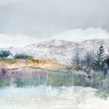 Crianlarich Stags”, featuring two Highland deer near Crianlarich. Perfect wall art for nature lovers and home décor inspiration.