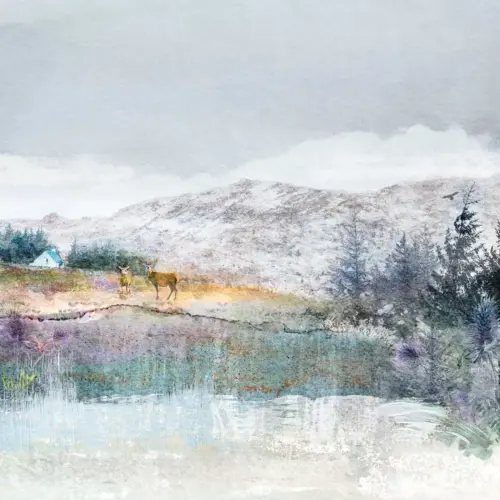 Crianlarich Stags”, featuring two Highland deer near Crianlarich. Perfect wall art for nature lovers and home décor inspiration.