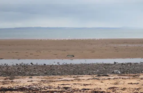 Seton Sands, East Lothian