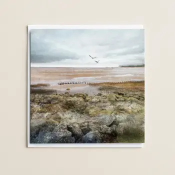 Tayport Saltmarsh coastal greetings cards by Scottish artist Carol McEwan
